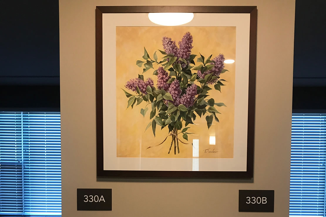 artwork for healthcare facilities