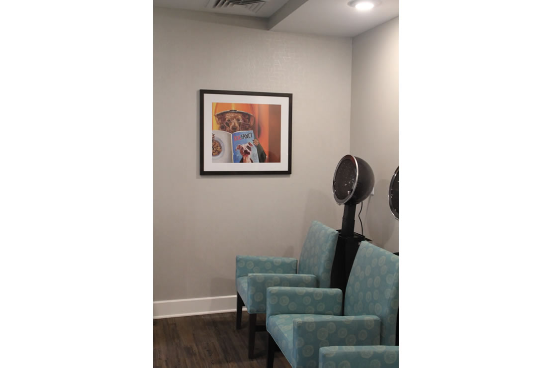 artwork for senior living facilities